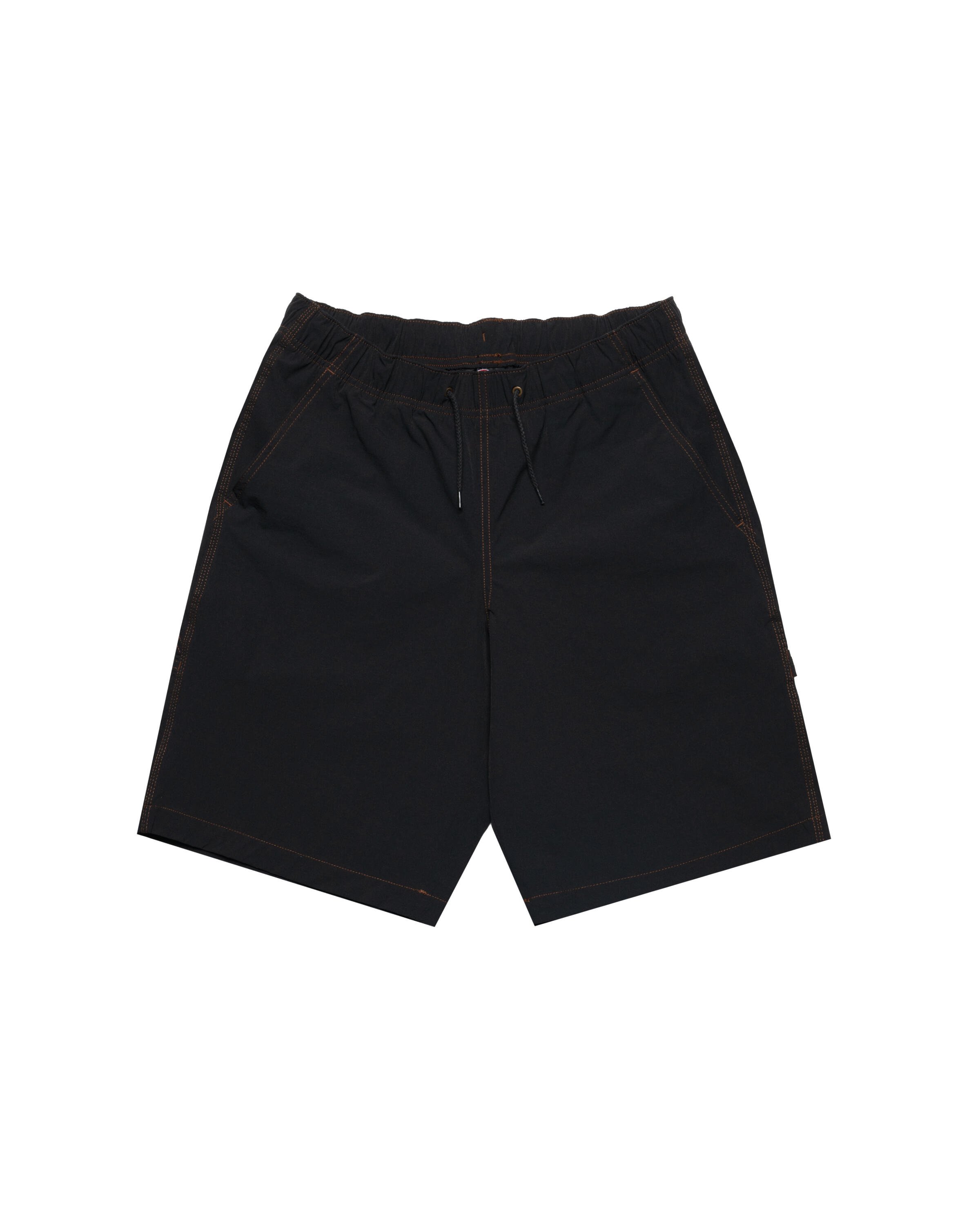 Dickies WILSALL CARPENTER SHORT | DK0A4Z7XBLK1 | AFEW STORE